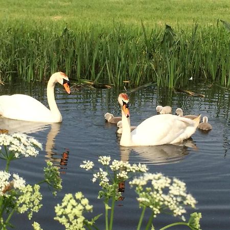 Friesland-Cottage Molkwerum ภายนอก รูปภาพ