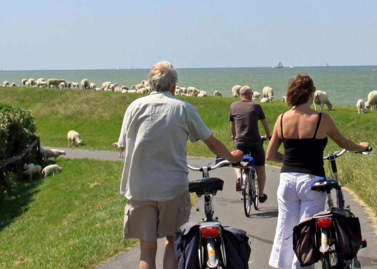 Friesland-Cottage Molkwerum ภายนอก รูปภาพ